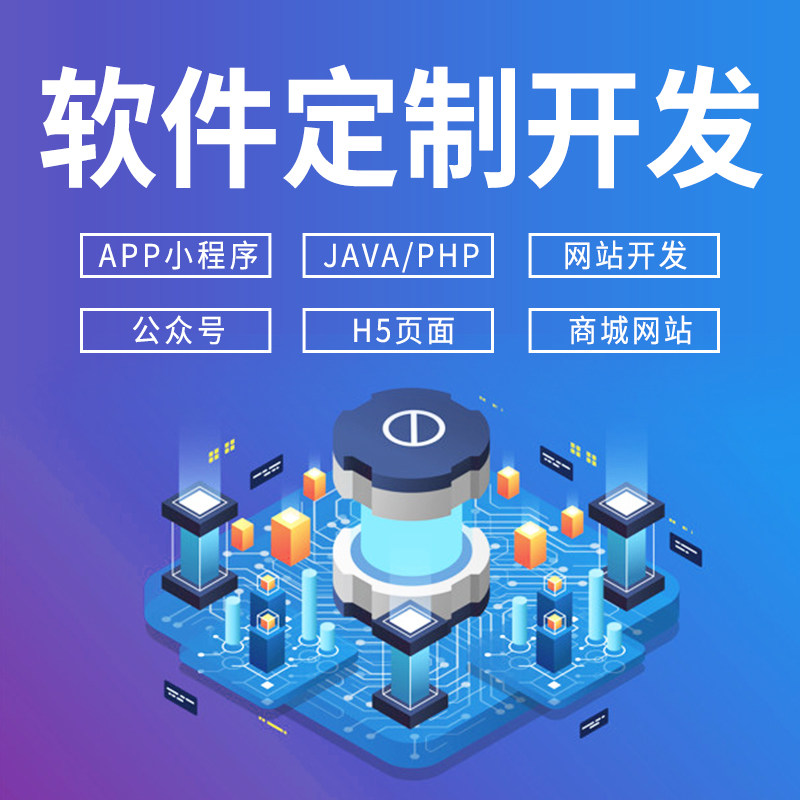 软件开发 系统定制 支付接口
